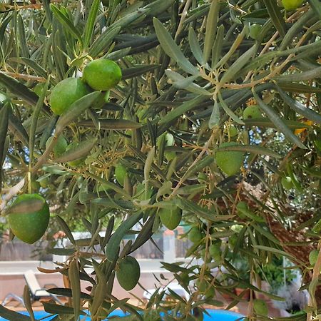 רונדה Alojamiento El Olivo חדר תמונה