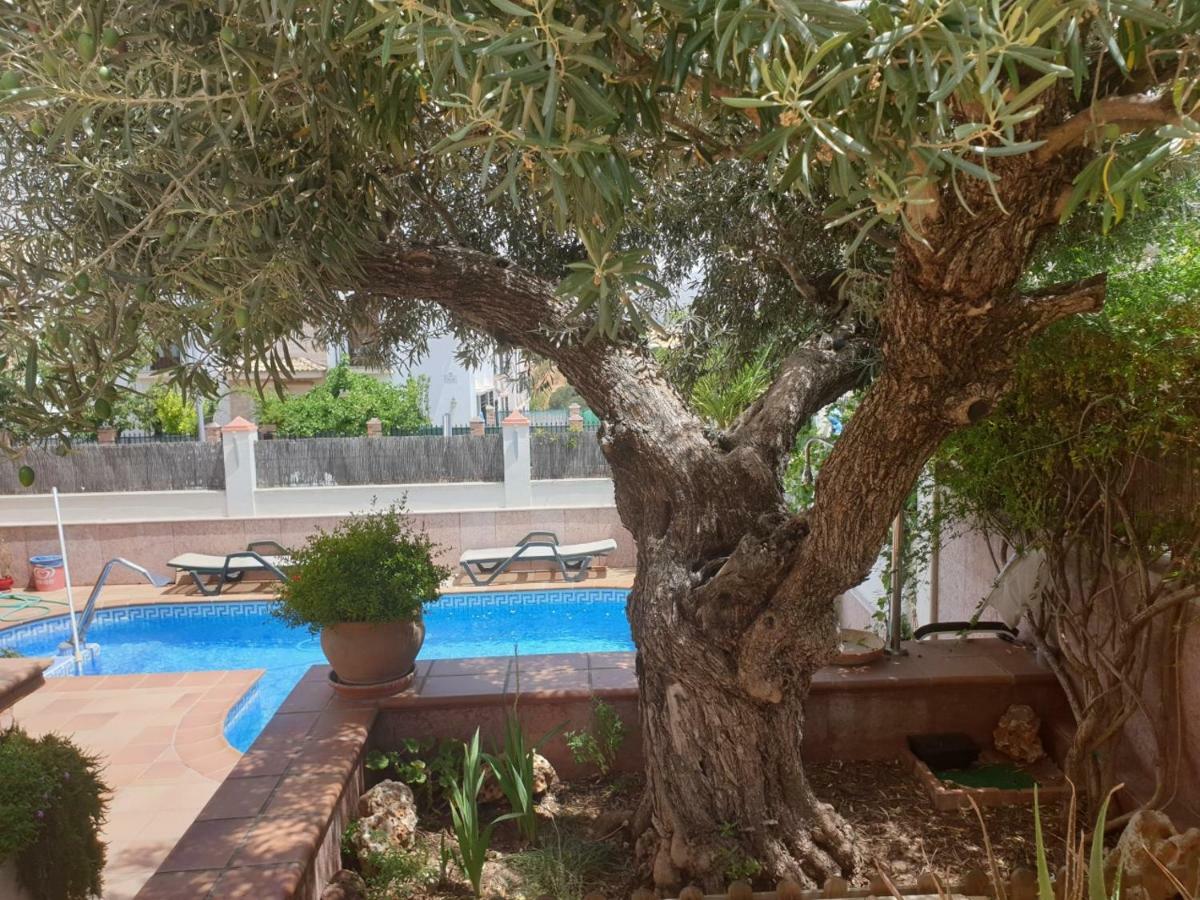 רונדה Alojamiento El Olivo מראה חיצוני תמונה